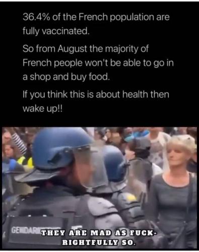 photo_2021-07-14_21-40-37