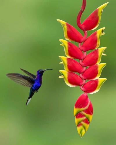 229263068_381257090044637_6807539535380777184_n