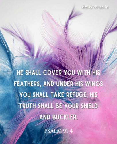 08:07:49 GMT-0400 (EDT)