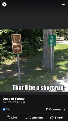 217478398_1918550431640571_3824611128164308326_n