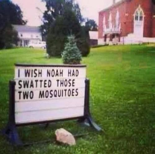 213634455_10111738402449430_8860266785560584817_n