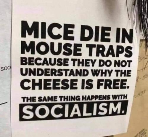 85B767AF-819C-4557-89DD-EC18408CA5C2~2