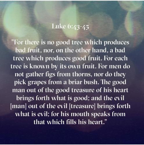 Screenshot_20210715-085336_Bible