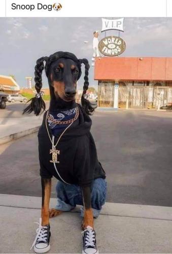 FB_IMG_1627521269497