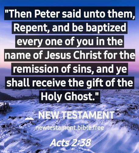 Screenshot_20210702-171359_New Testament Bible free