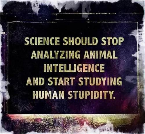 21:54:25 GMT-0700 (PDT).image