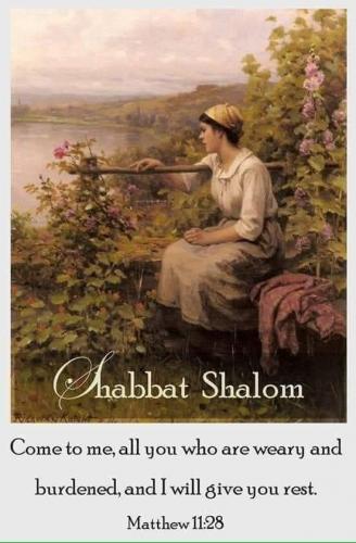 FB_IMG_1625286102485