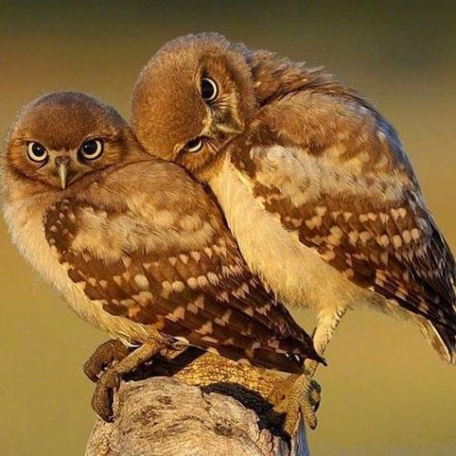 209013082_361964418640571_5380421757921111188_n