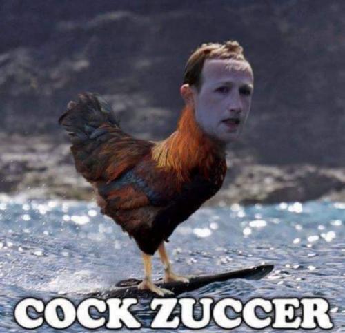 cock zuker