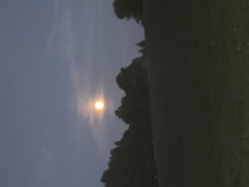 DD8142B5-F251-4CB5-80E5-D332D2E31177