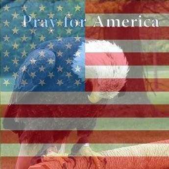 11:56:49 GMT-0400 (EDT)