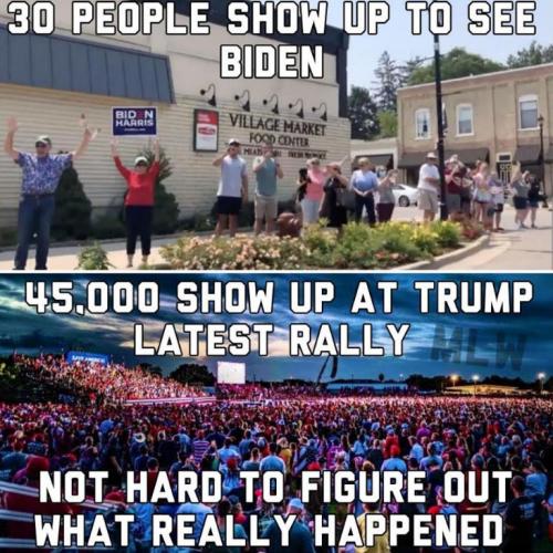 ztrump247