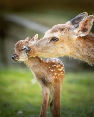 222723760_377262507110762_6838320360259179553_n