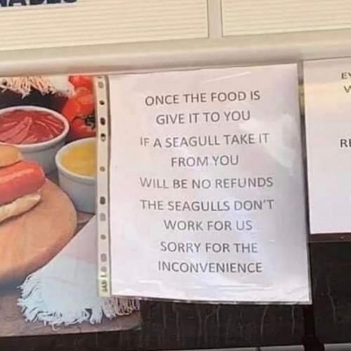 16:26:44 GMT-0500 (CDT)