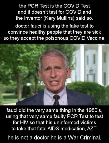 fauci104