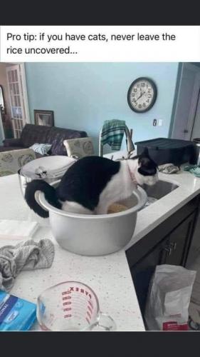 FB_IMG_1627396291198