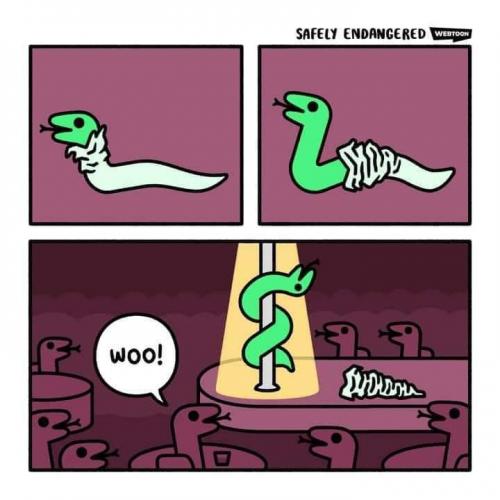 FB_IMG_1625518711140