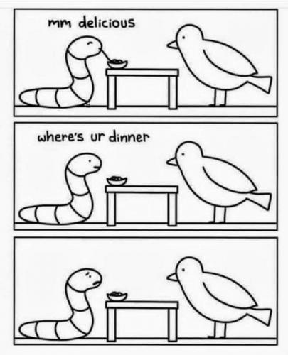 FB_IMG_1626234046560