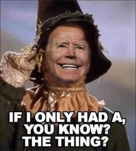 biden639