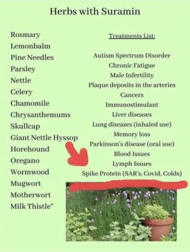 19:01:24 GMT+1200 (NZST).image