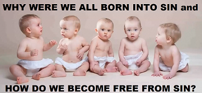 221666469_316813973524055_7568484229721880948_n