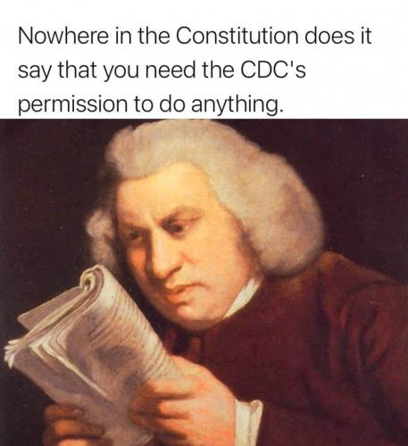 constitution