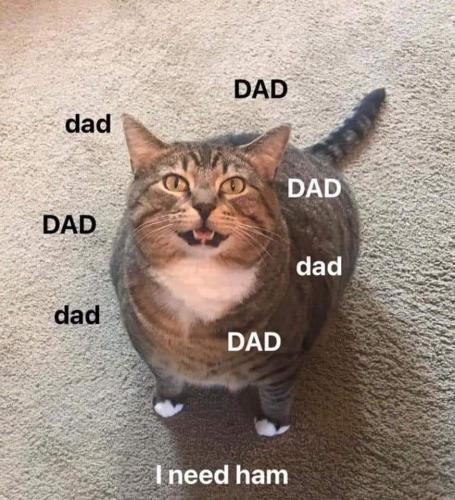 18:59:45 GMT-0500 (CDT)