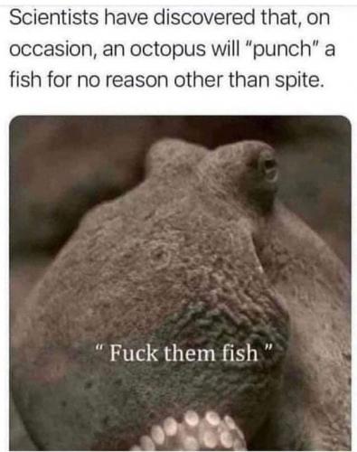 FB_IMG_1627613640905