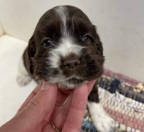 07:46:26 GMT-0500 (CDT)