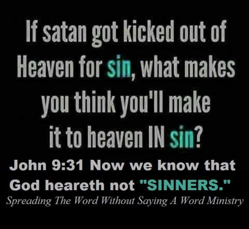 19554879_1458340794248047_4895364134084003870_n