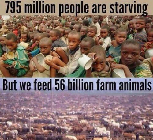 18:11:37 GMT-0500 (CDT)