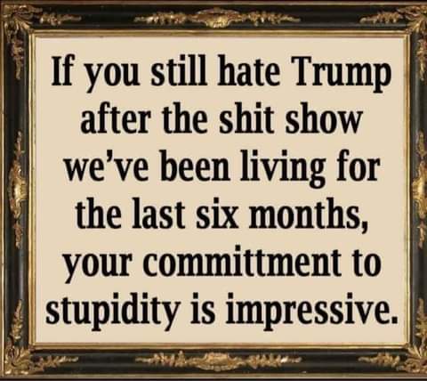 FB_IMG_1626322871452