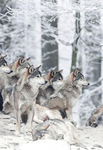 5b171770dd7ab756ef1ce5c003b2b0a3