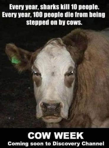 FB_IMG_1626145431397