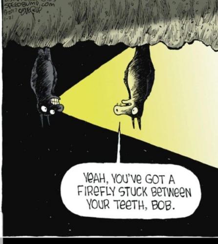 212239971_781664099162576_5458052889954247273_n