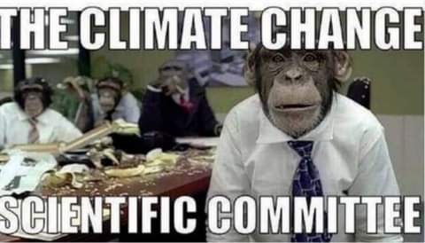 FB_IMG_1627087086608