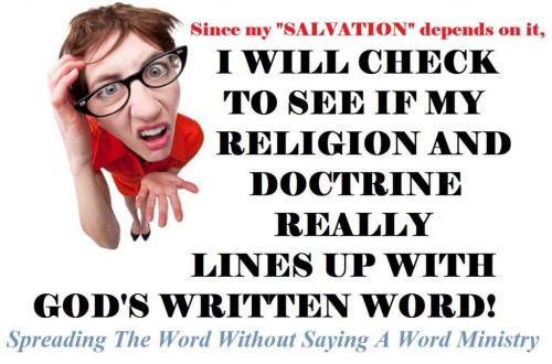 11722415_794019460697187_8546505430127171069_o