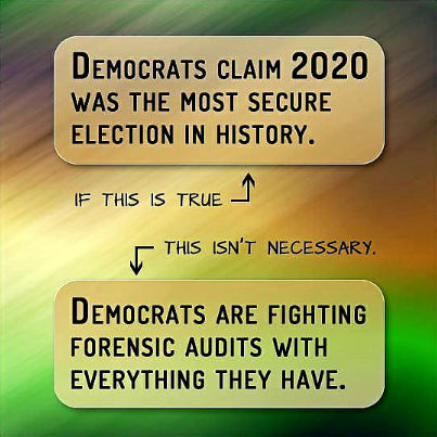 voterfraud202