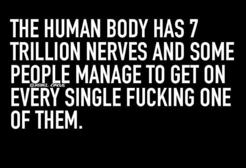 tumblr_3705551aa4264310e093cdc3c2f9b4b2_8152320d_1280