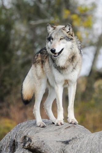 12:06:40 GMT-0500 (CDT)