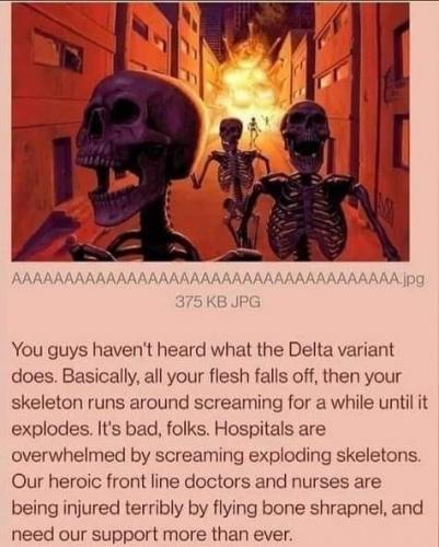 219787484_10226003601335163_5838717730199146290_n