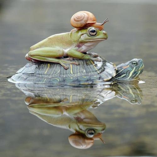 217605189_199186122217102_6119847022714452237_n