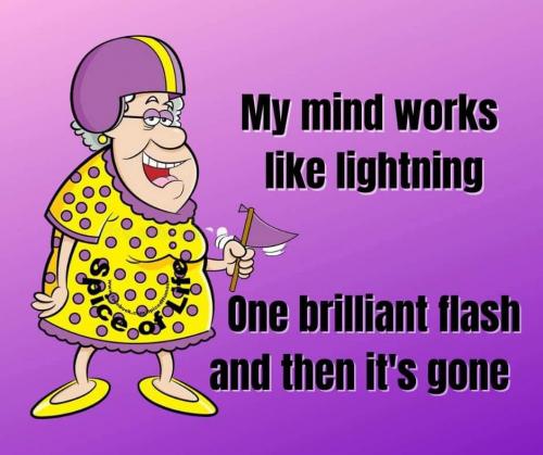 FB_IMG_1627144263138