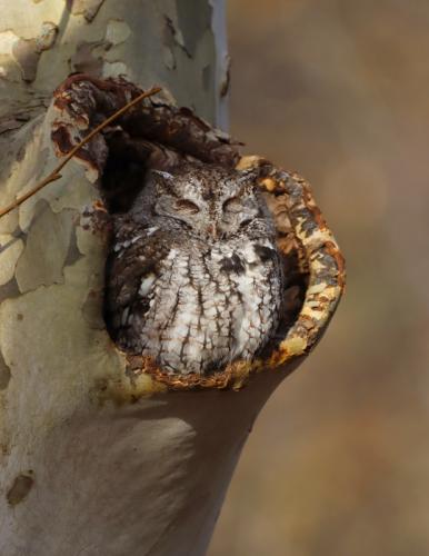 tumblr_4587a163f6a0699e3049788b66bdbb3c_e3f497f2_540