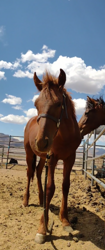 Screenshot_20210624-155352-272