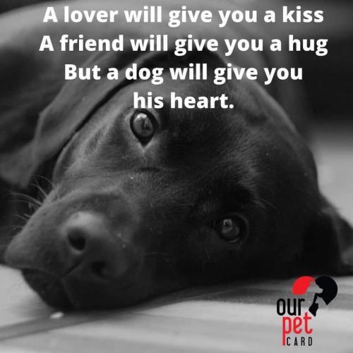 17:51:12 GMT-0700 (MST)