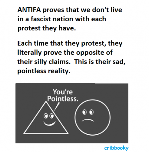 antifa_is_pointless