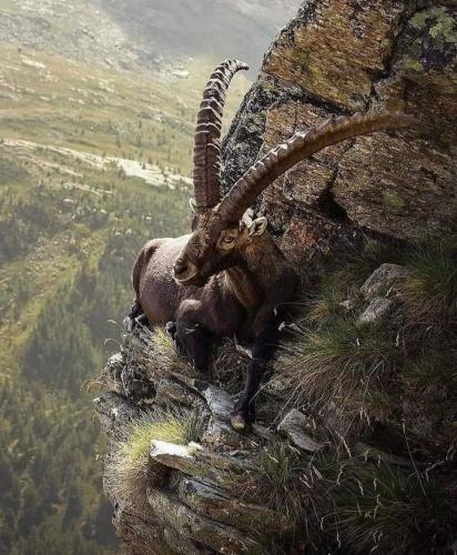 216244287_328058732387933_3546017035582971147_n