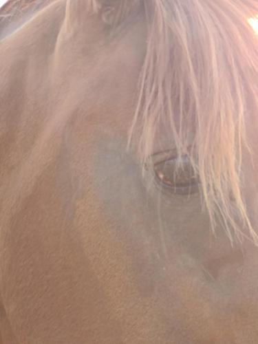 IMG_20210715_185646226