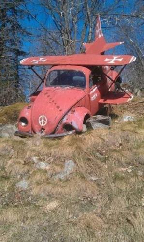 FB_IMG_1626241885007